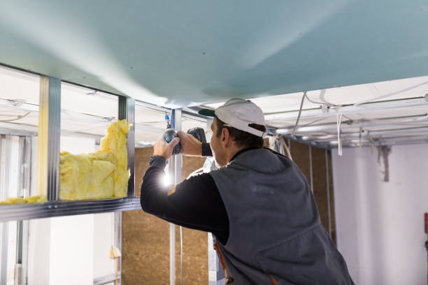 Insulation Replacement Services in Flemington, PA