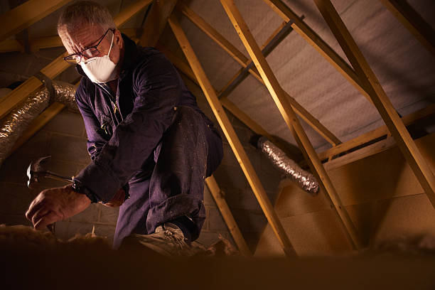 Best Insulation Replacement Services  in Flemington, PA